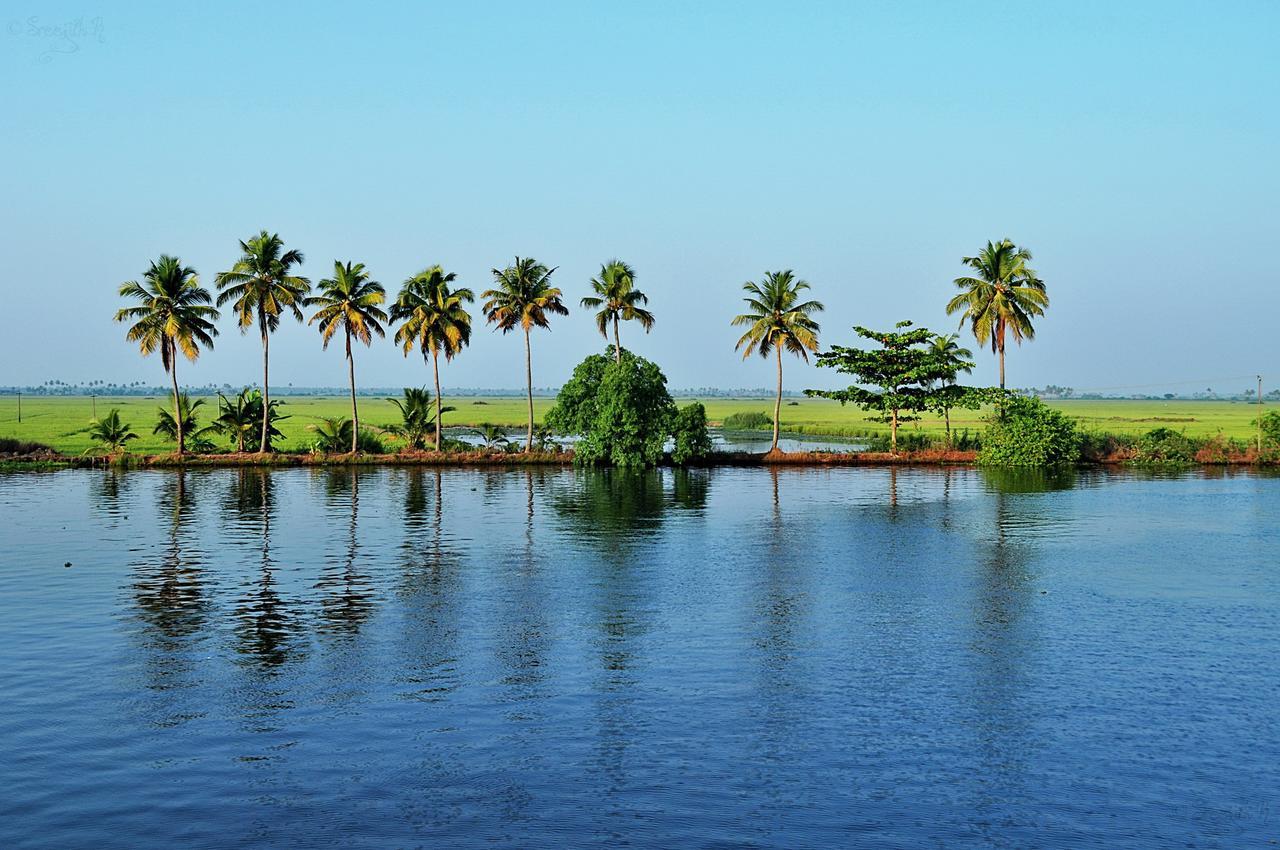 Marari Peterland Apartment Alappuzha ห้อง รูปภาพ